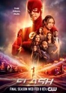 The Flash (2014)