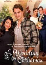 Ένας Γάμος για τα Χριστούγεννα / A Wedding for Christmas (2018)