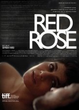 Κόκκινο τριαντάφυλλο / Red Rose (2014)
