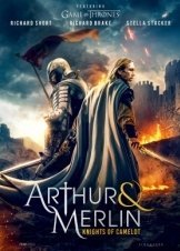 Arthur & Merlin: Knights of Camelot (2020)