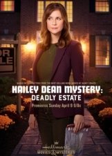 Hailey Dean Mystery: Deadly Estate (2017)