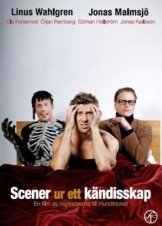 Scenes from a Celebrity Life / Scener ur ett kändisskap (2009)